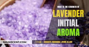 The Power of Lavender: Initial Aroma's Strength Explored