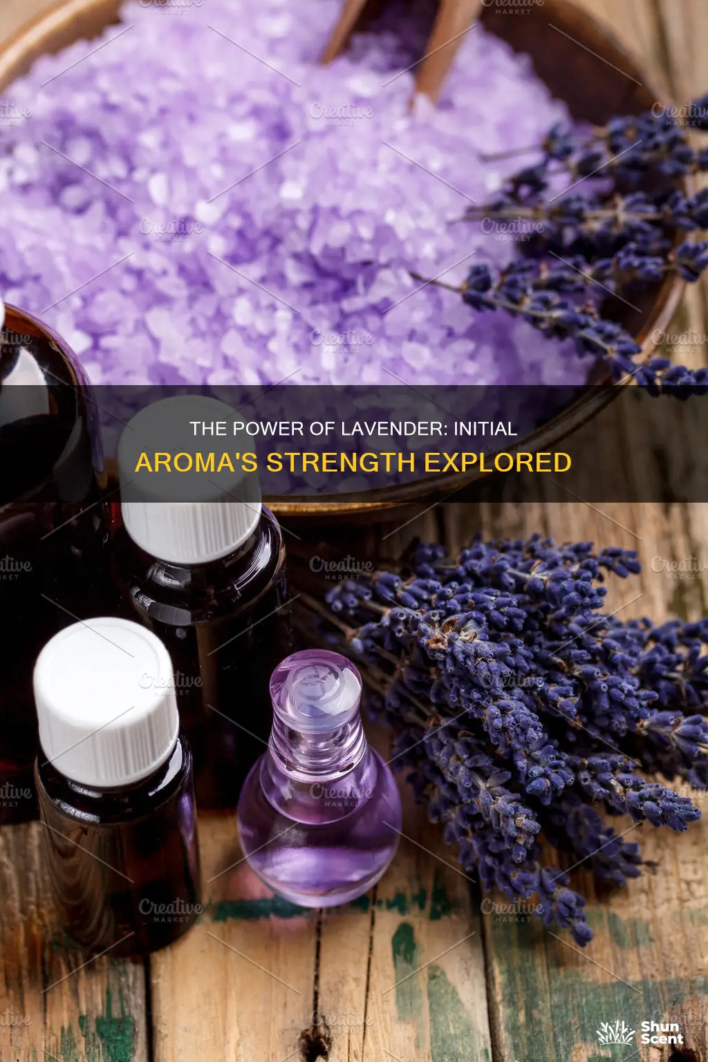 what is the strength of lavender initial aroma