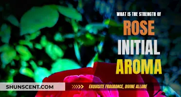 The Power of Rose: Initial Aroma Strength Explored