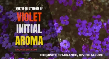 The Power of Violet: Initial Aroma Strengths Explored