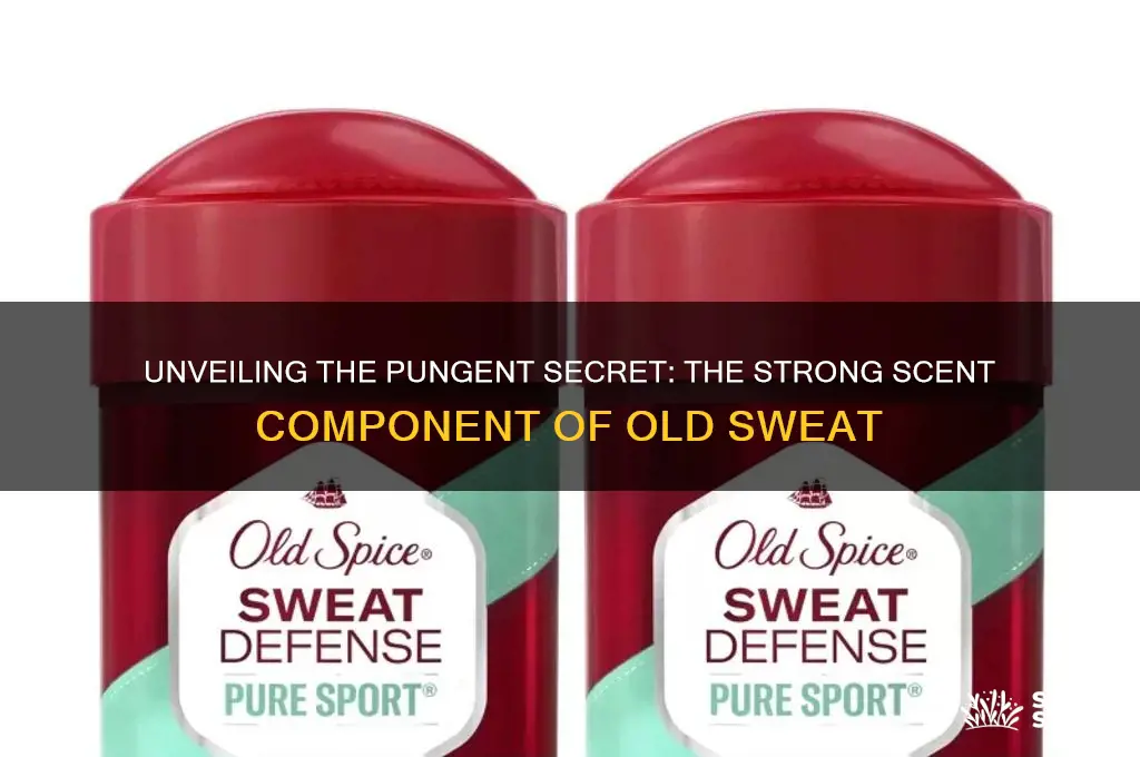 what is the strong scent component of old sweat