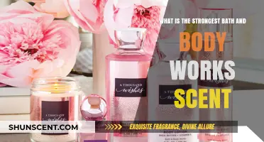 Discover the Most Intense Bath and Body Works Fragrance
