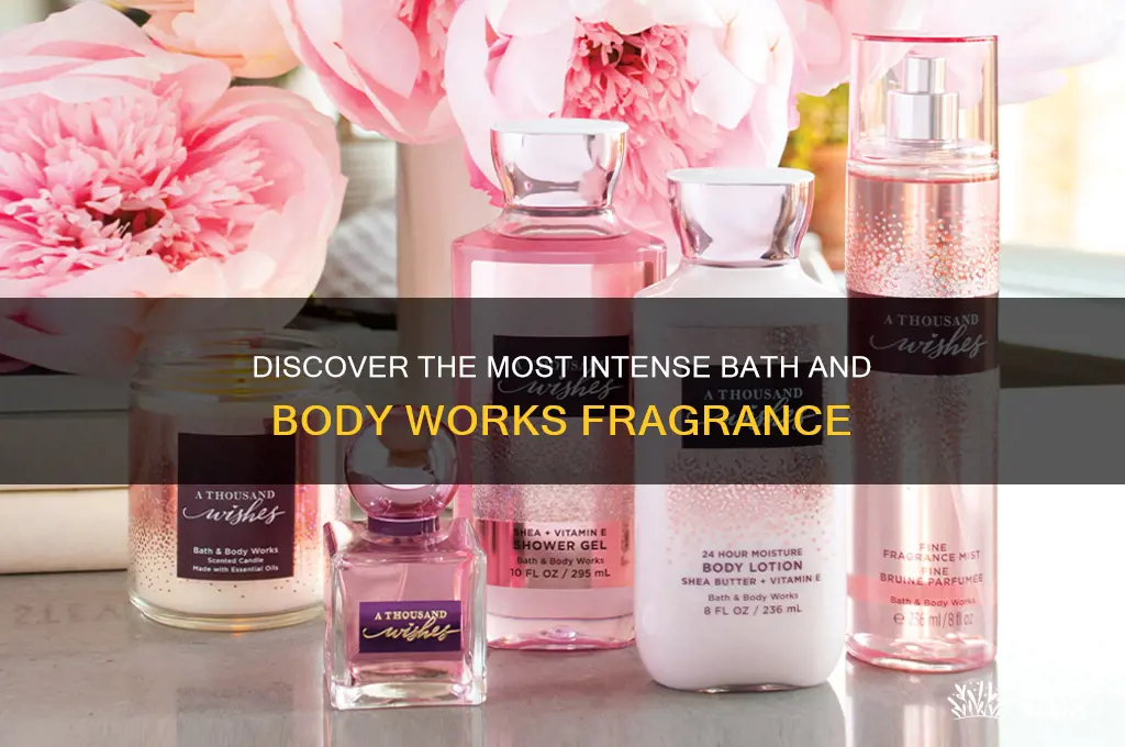 what is the strongest bath and body works scent