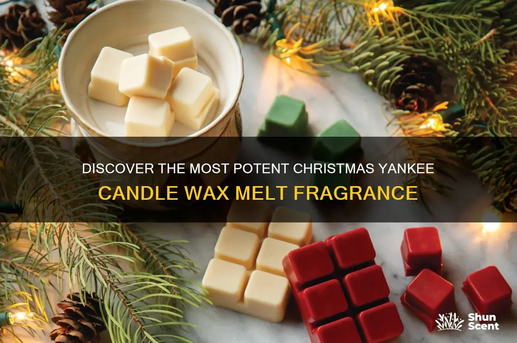 what is the strongest christmas yankee candle wax cube scent