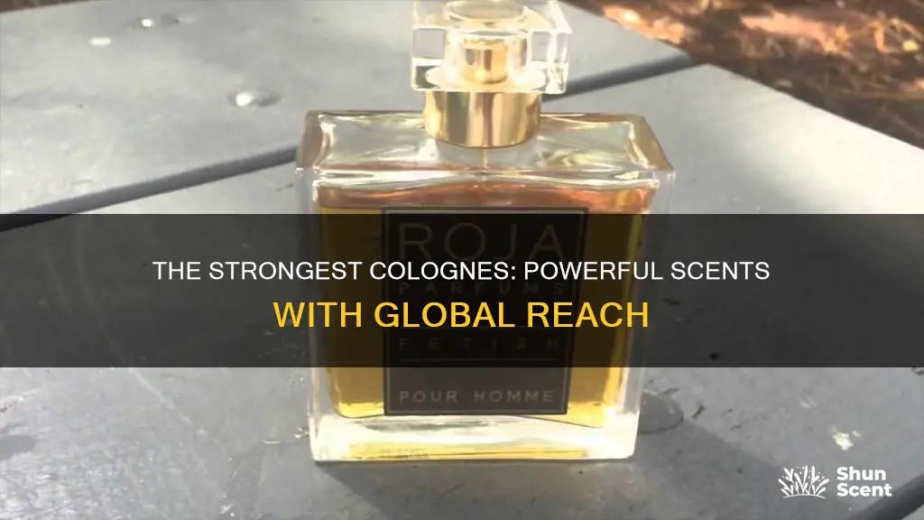 what is the strongest cologne in the world