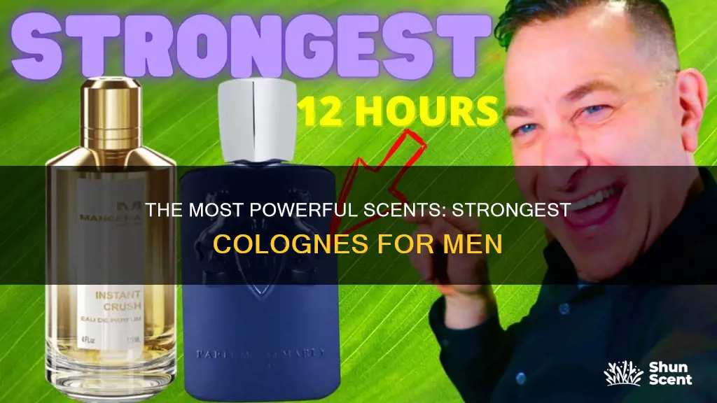 what is the strongest cologne