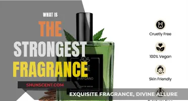 Exploring the Strongest Fragrances: Powerful Aromas Explained