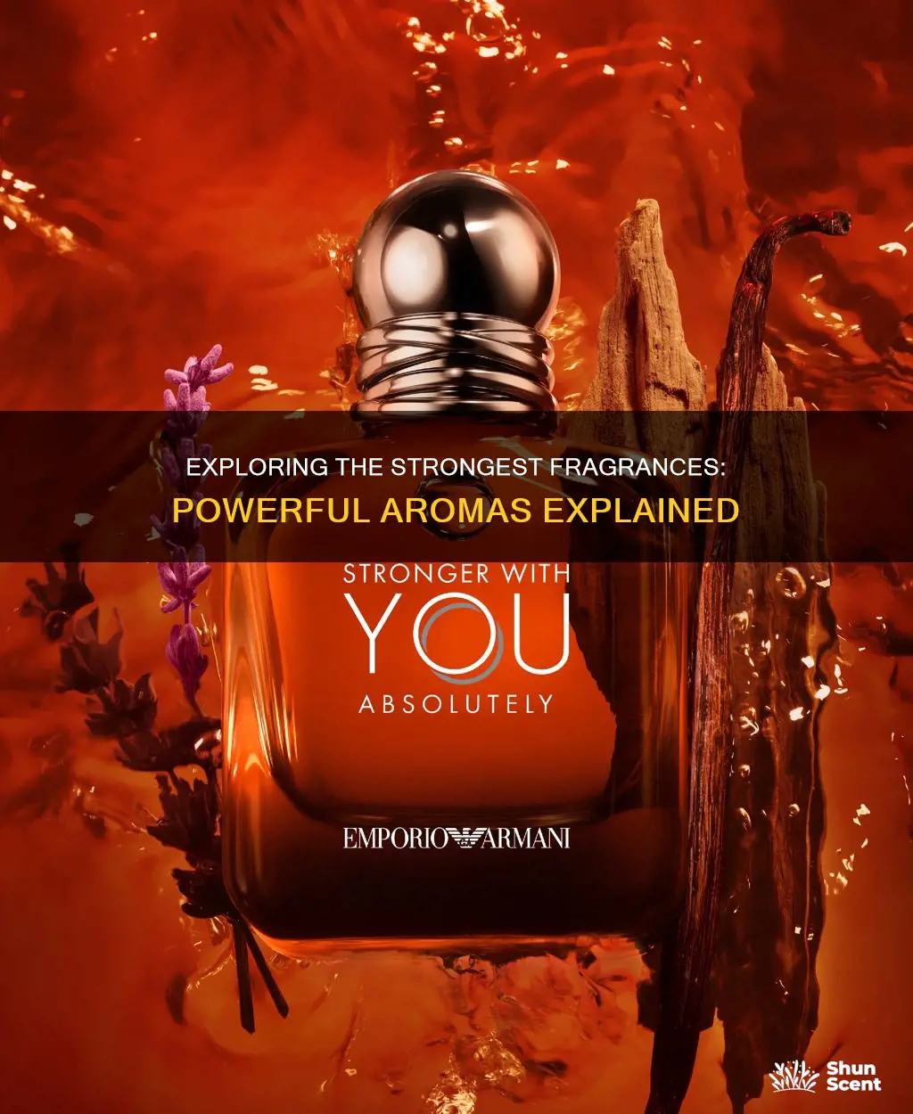 what is the strongest fragrance