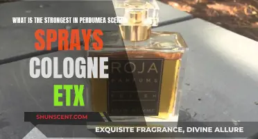 The Strongest Perdumea Scents: Sprays and Colognes