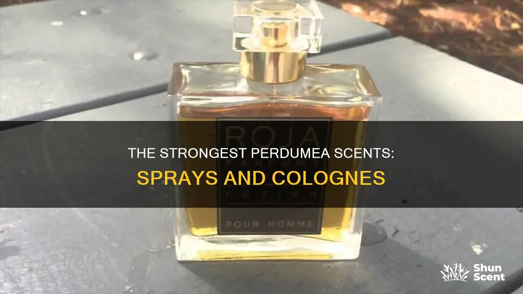 what is the strongest in perdumea scents sprays cologne etx