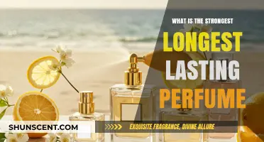 Long-Lasting Scents: Strongest Perfumes for All-Day Wear
