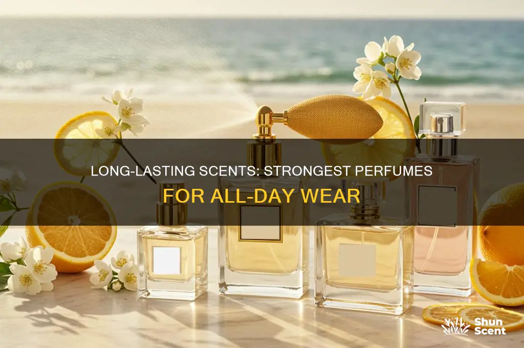 what is the strongest longest lasting perfume