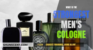 The Most Powerful Men's Colognes: A Definitive Guide