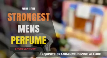 Best Powerful Men's Fragrances: Long-Lasting and Strong