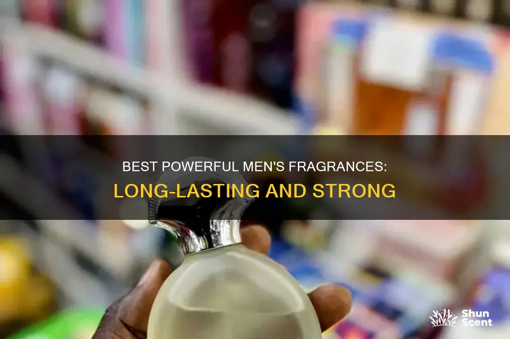 what is the strongest mens perfume
