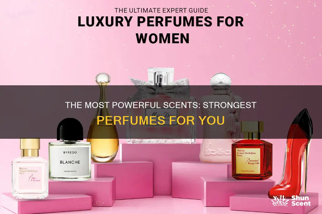 what is the strongest perfume scent