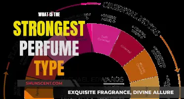 The Strongest Scent: Perfume Types and Their Power