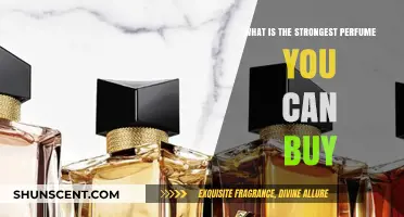 The Most Powerful Scents: Strongest Perfumes to Buy