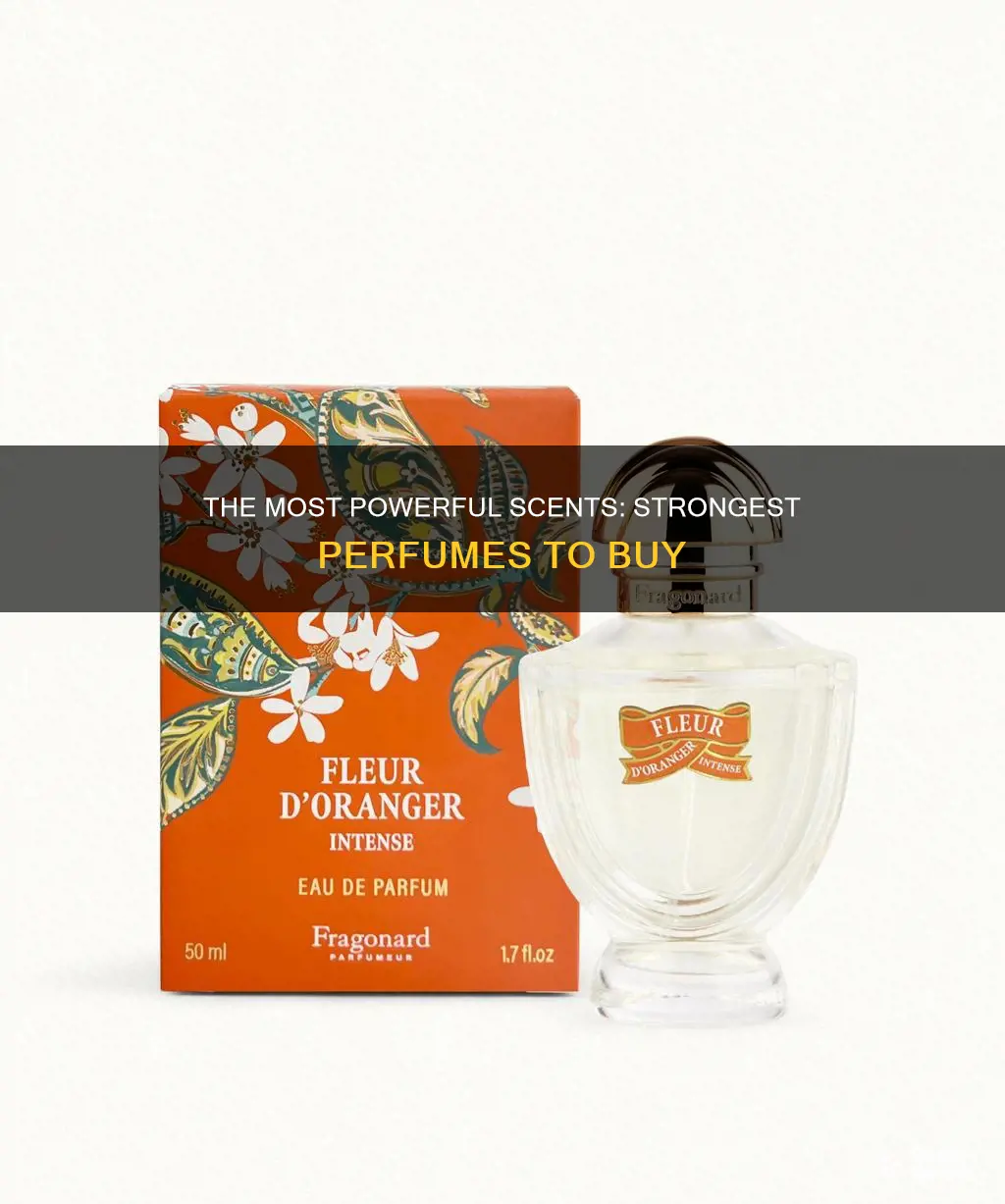 what is the strongest perfume you can buy