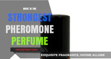 Best Pheromone Perfumes: The Science of Attraction