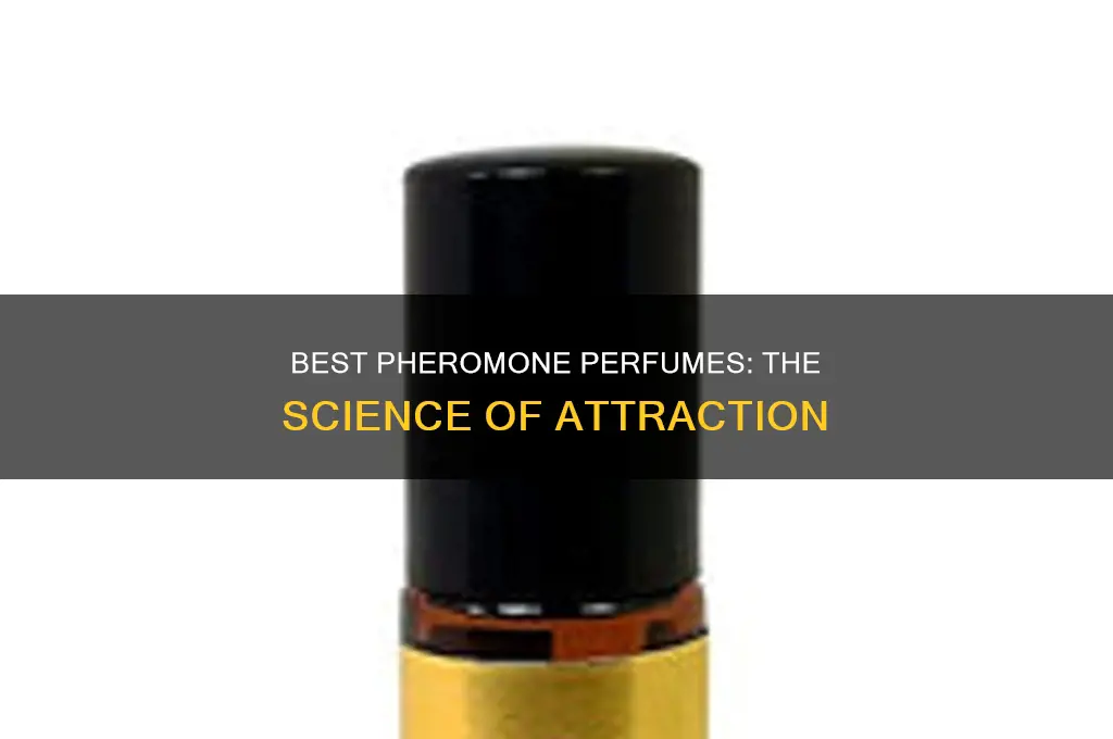 what is the strongest pheromone perfume