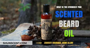 Discover the Strongest Pine Scented Beard Oil for Ultimate Grooming
