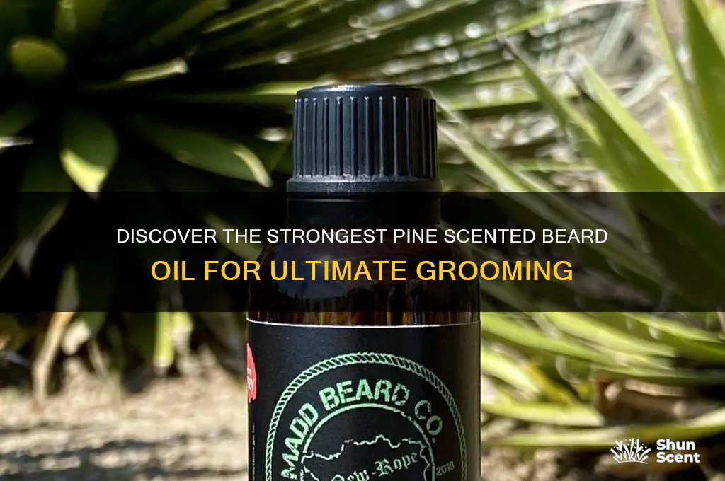 what is the strongest pine scented beard oil