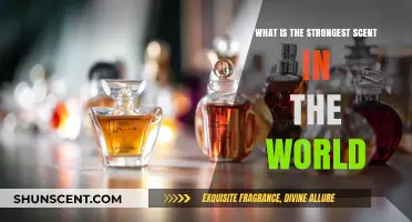 Unveiling the World's Most Potent Scent: A Fragrant Powerhouse Revealed