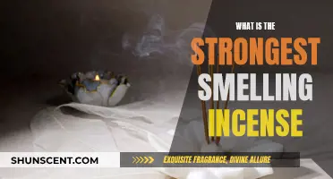 Incense with the Most Powerful Scents