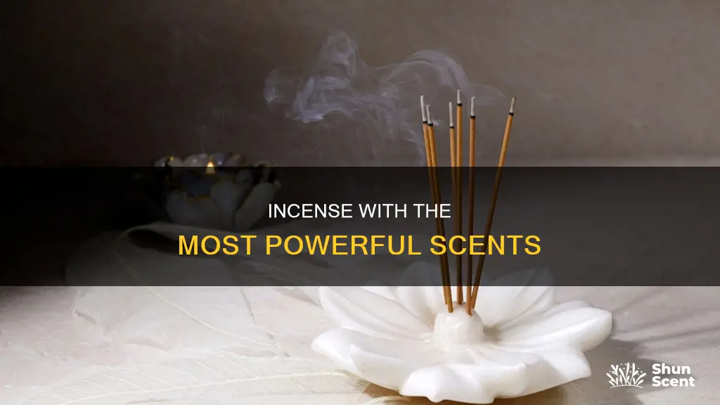 what is the strongest smelling incense