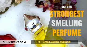 Powerful Scents: Strongest Perfumes for Women