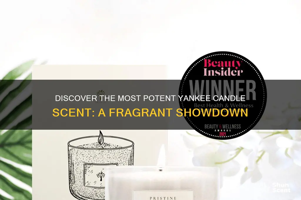 what is the strongest yankee candle scent