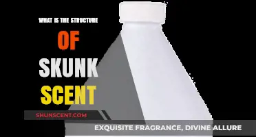 Unveiling the Complex Chemistry Behind Skunk Spray's Pungent Structure