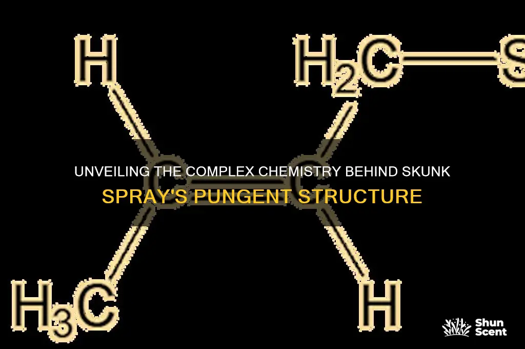 what is the structure of skunk scent