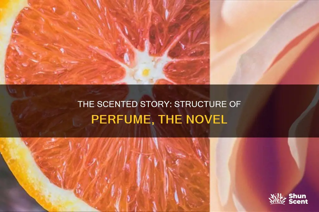 what is the structure of the novel perfume