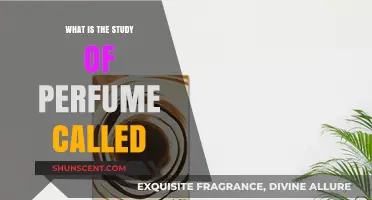 The Art of Perfume: Exploring Aromatics