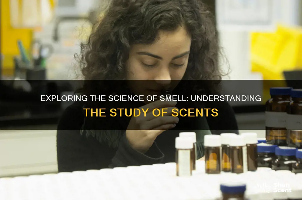 what is the study of scents called