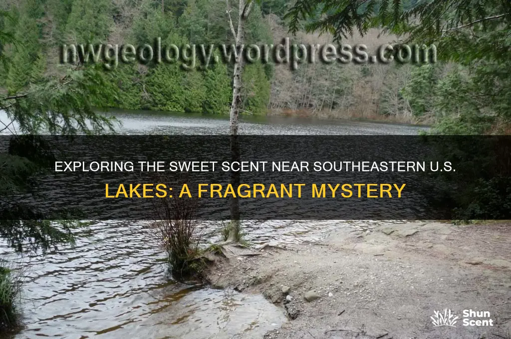 what is the sweet scent near lakes southeast us
