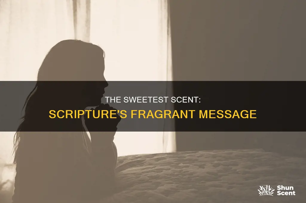 what is the sweet smelling fragrance in scripture