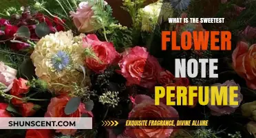 The Sweetest Floral Scents: Notes of Nature