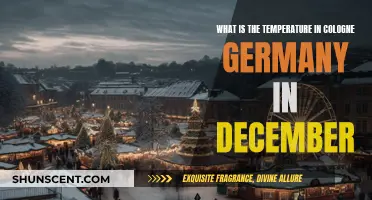 Cold Cologne: Germany's December Weather