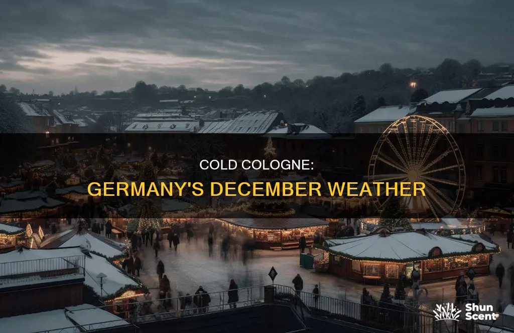 what is the temperature in cologne germany in december