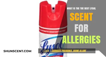 Top Lysol Scents for Allergy Relief: A Comprehensive Guide