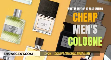 Best Affordable Colognes for Men: Top 10 Picks