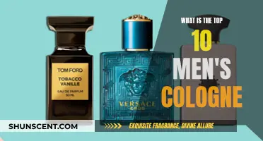 Best Colognes for Men: Top 10 Fragrances