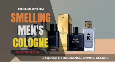 Best Smelling Scents: Top 5 Men's Colognes