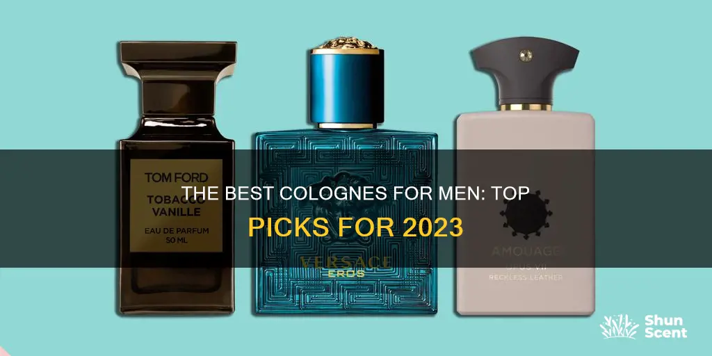 what is the top cologne for men