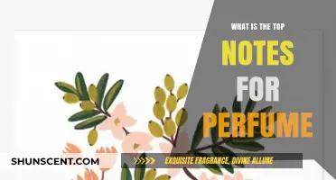 The Art of Top Notes: Captivating Scents Unveiled