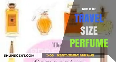 Travel-Size Perfumes: Your Fragrance Companion