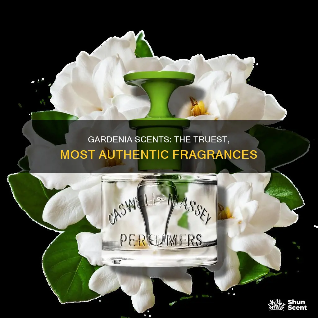 what is the truest gardenia fragrance